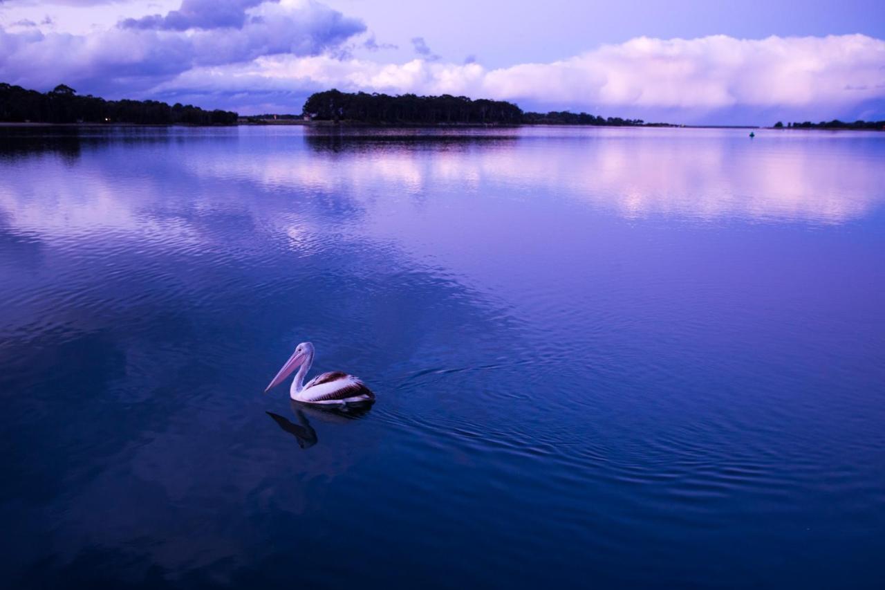 The Seabird Moruya Exterior foto